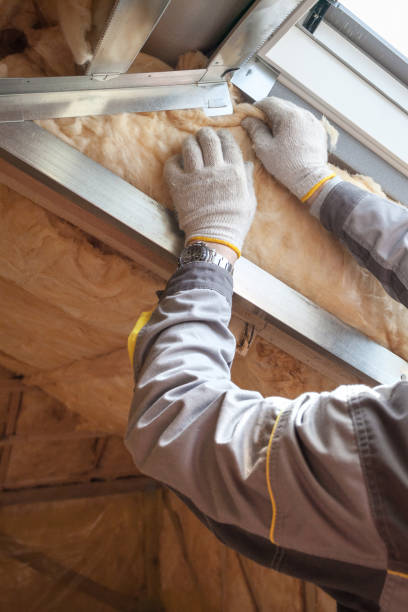 Best Insulation Contractor Near Me  in Newark, NJ